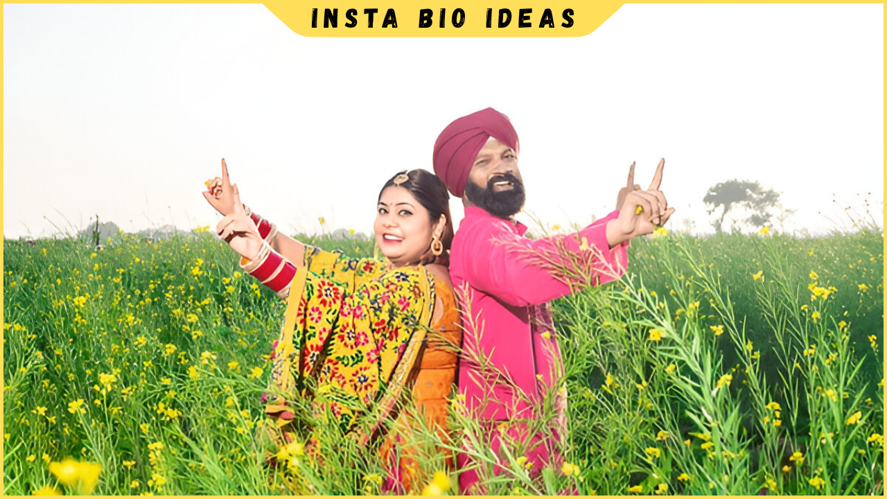Instagram Bio in Punjabi