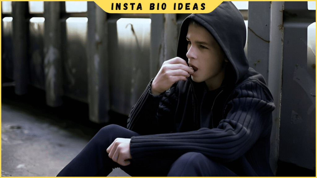 Best Attitude Instagram Bios for Boys