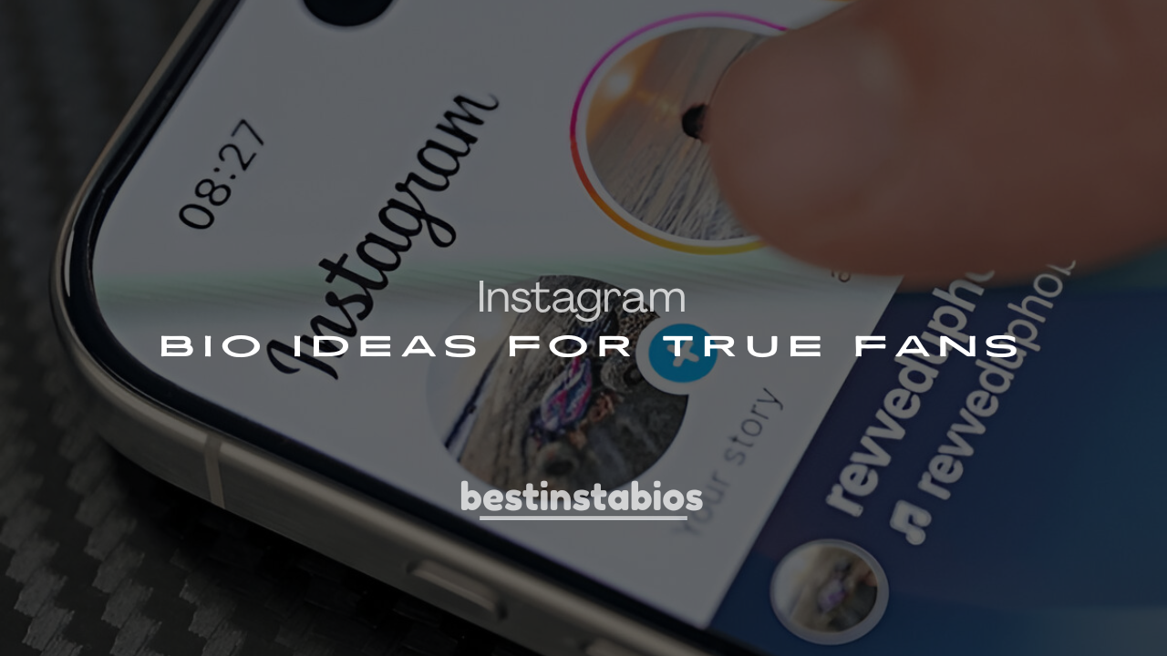 250+ Cricket Lover Instagram Bio Ideas for True Fans